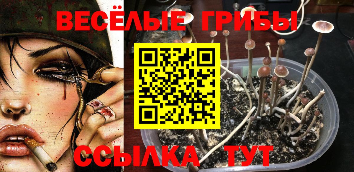 Канск  Галлюциногенные грибы ЛСД  Вход с VPN  Псилоцибиновые грибы ЛСД 