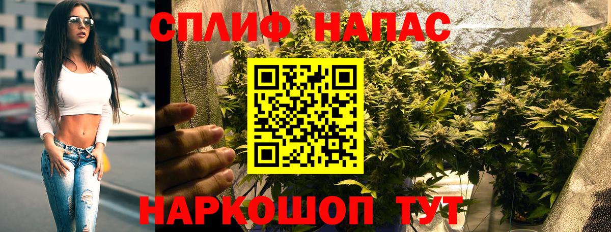 Псилоцибиновые грибы Канск